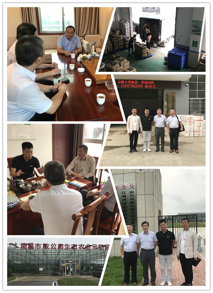 首页| PA视讯集团中国官方网站