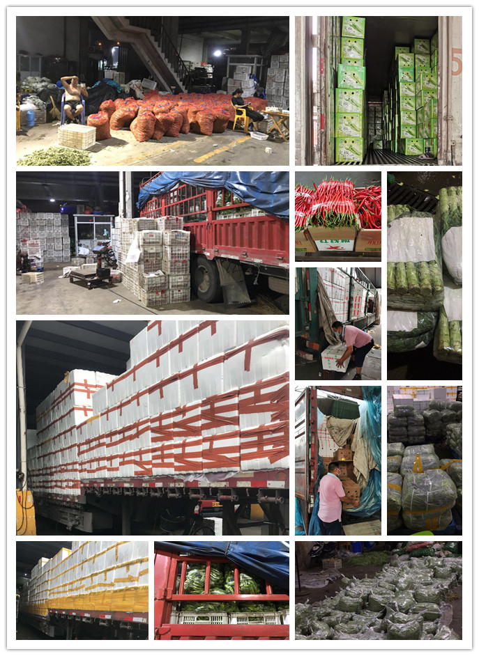 首页| PA视讯集团中国官方网站