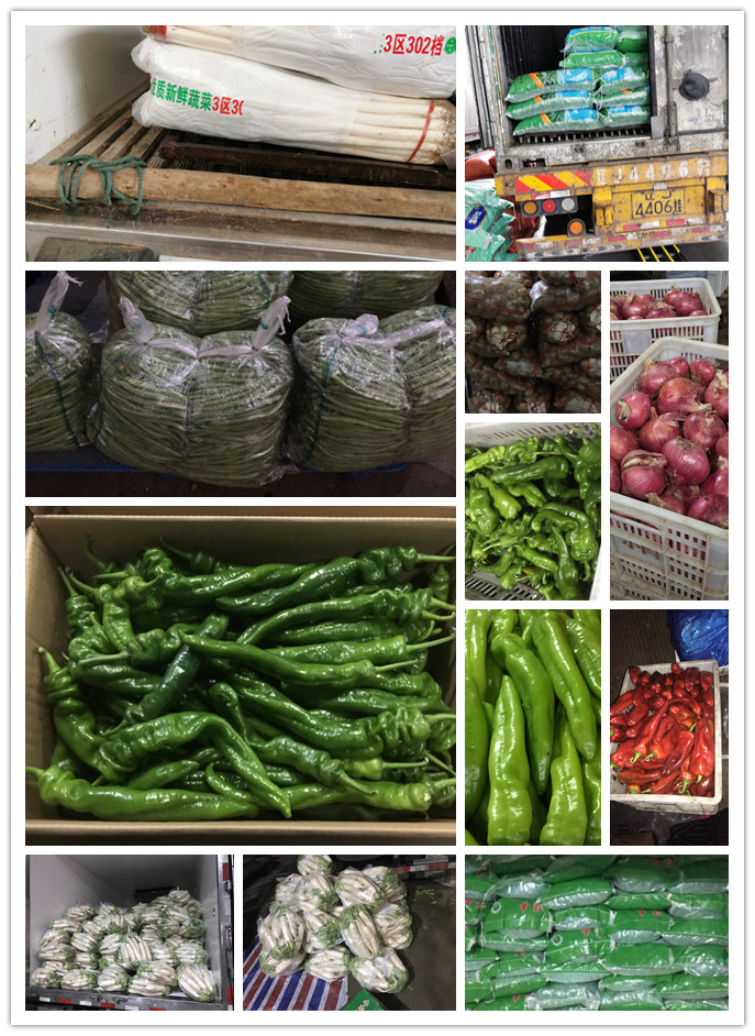 首页| PA视讯集团中国官方网站