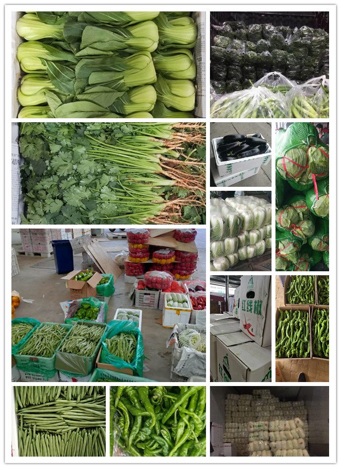 首页| PA视讯集团中国官方网站