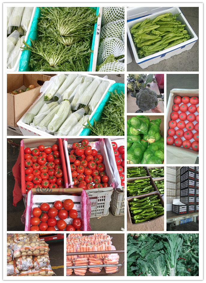 首页| PA视讯集团中国官方网站