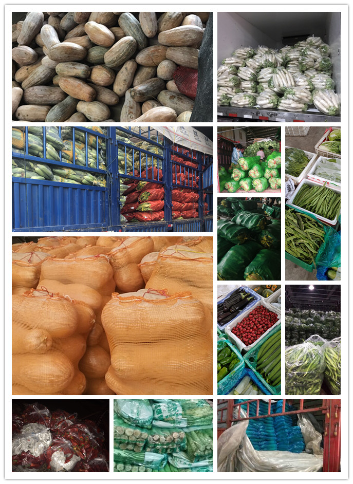 首页| PA视讯集团中国官方网站