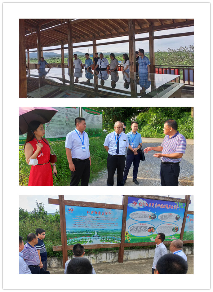 首页| PA视讯集团中国官方网站