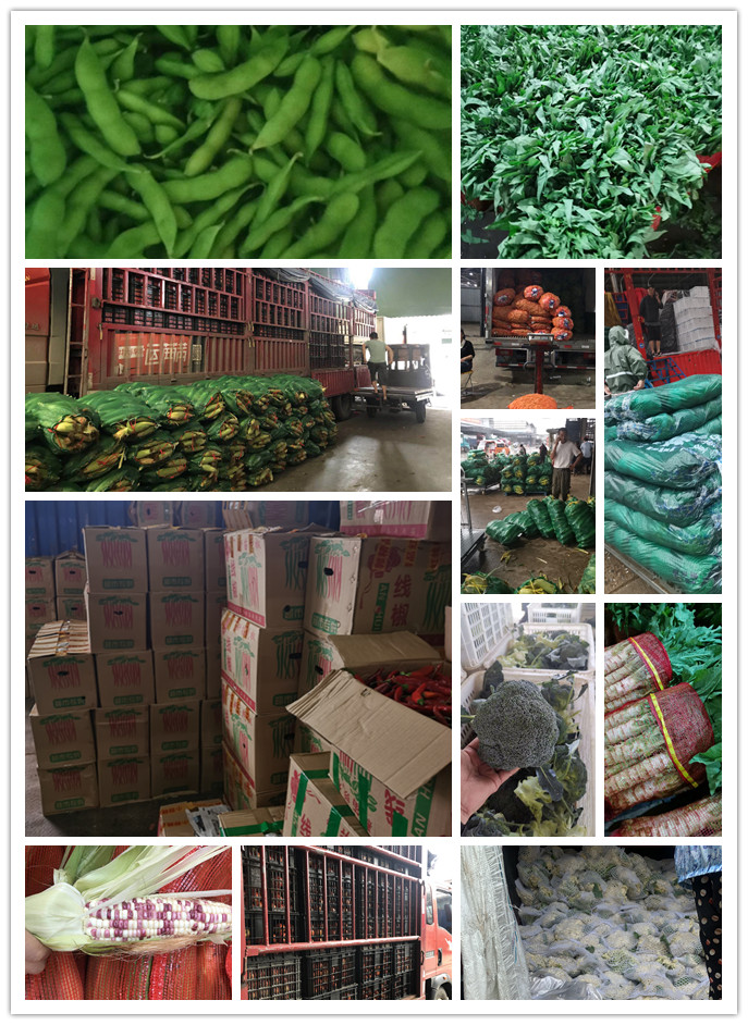 首页| PA视讯集团中国官方网站