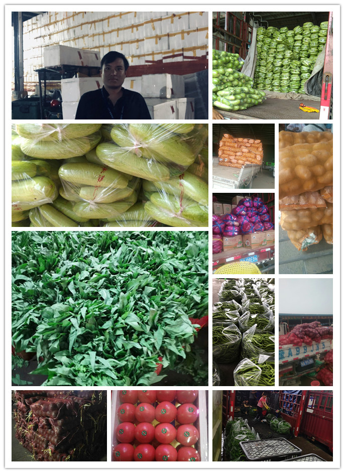 首页| PA视讯集团中国官方网站