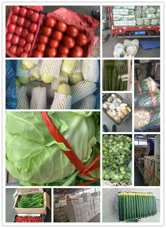 首页| PA视讯集团中国官方网站