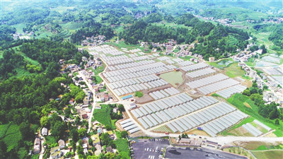 首页| PA视讯集团中国官方网站