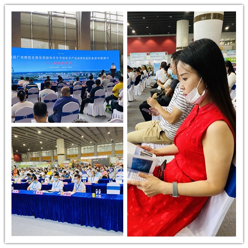 首页| PA视讯集团中国官方网站