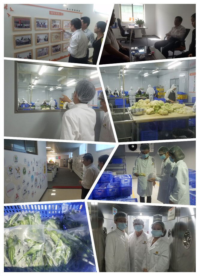 首页| PA视讯集团中国官方网站