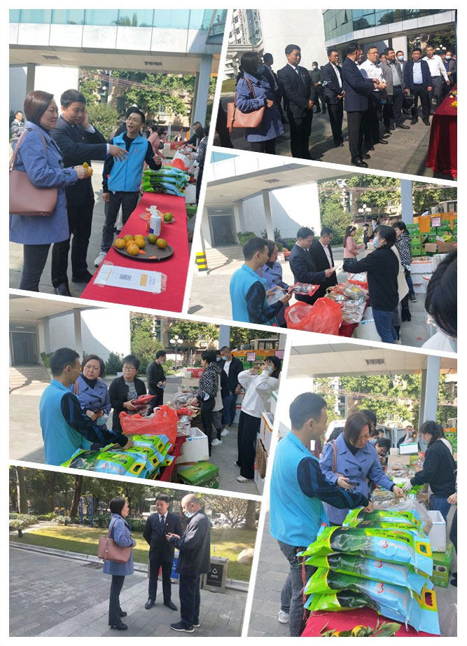 首页| PA视讯集团中国官方网站