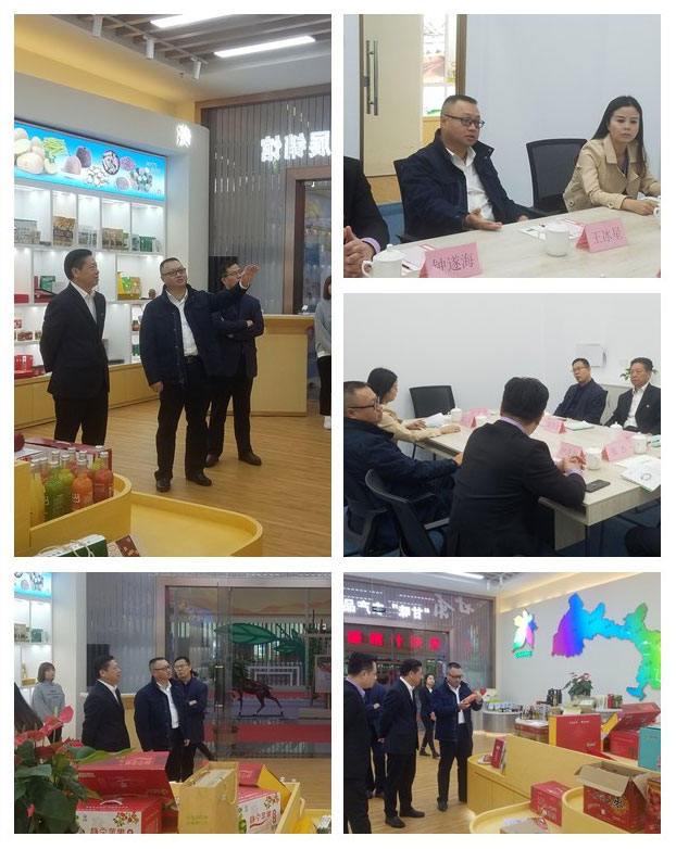 首页| PA视讯集团中国官方网站