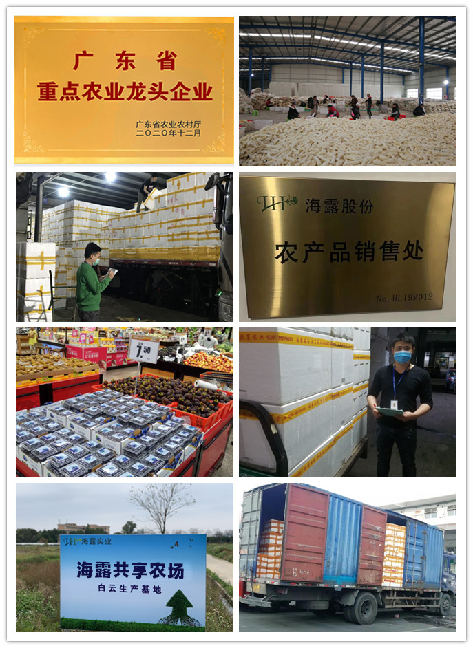 首页| PA视讯集团中国官方网站