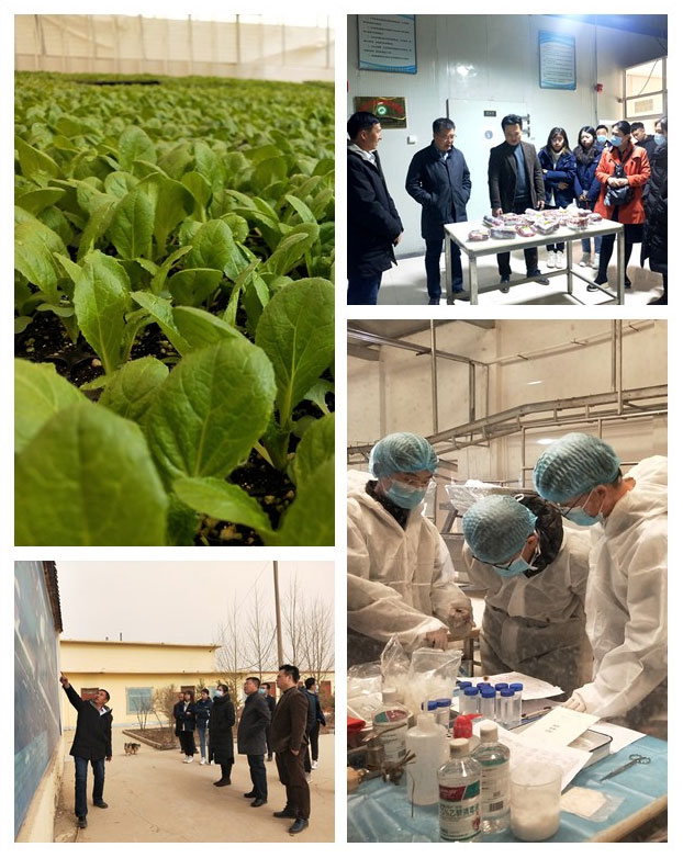 首页| PA视讯集团中国官方网站