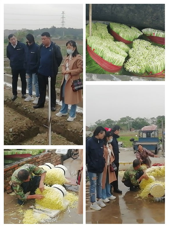 首页| PA视讯集团中国官方网站