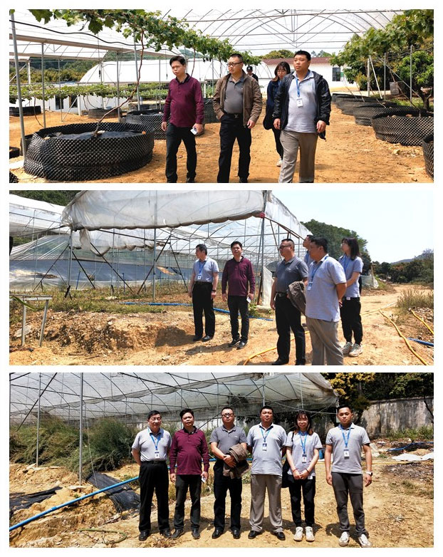 首页| PA视讯集团中国官方网站