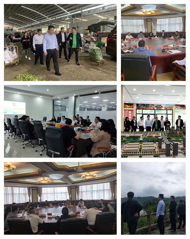 首页| PA视讯集团中国官方网站