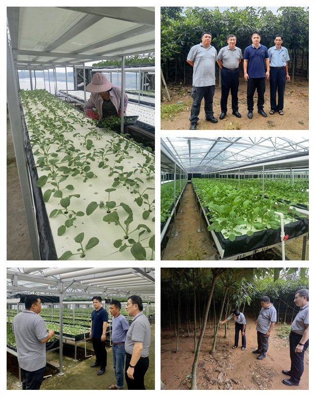 首页| PA视讯集团中国官方网站