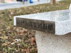 集团党支部落实大花园经济联社“民生微项目”，提升住民群众幸福感
