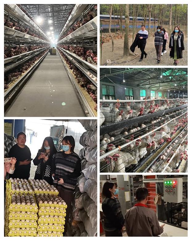 首页| PA视讯集团中国官方网站