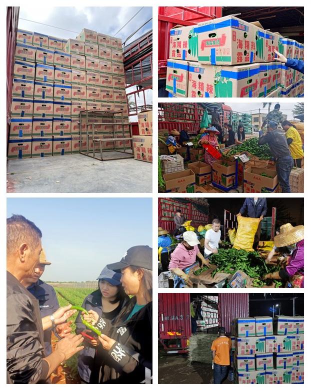 首页| PA视讯集团中国官方网站