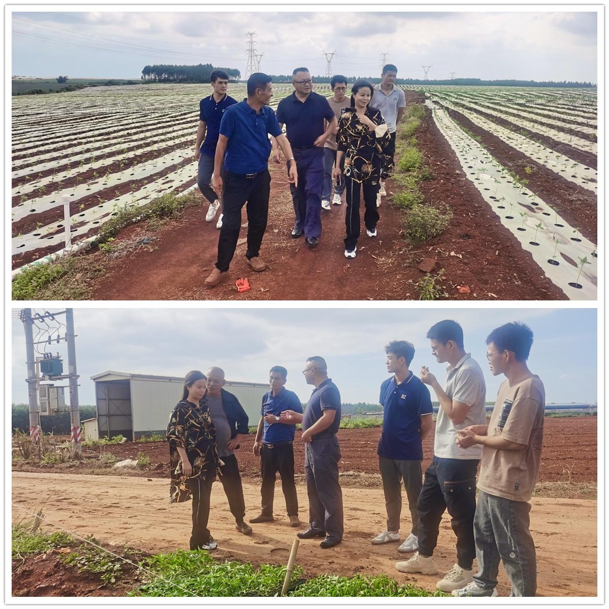 首页| PA视讯集团中国官方网站