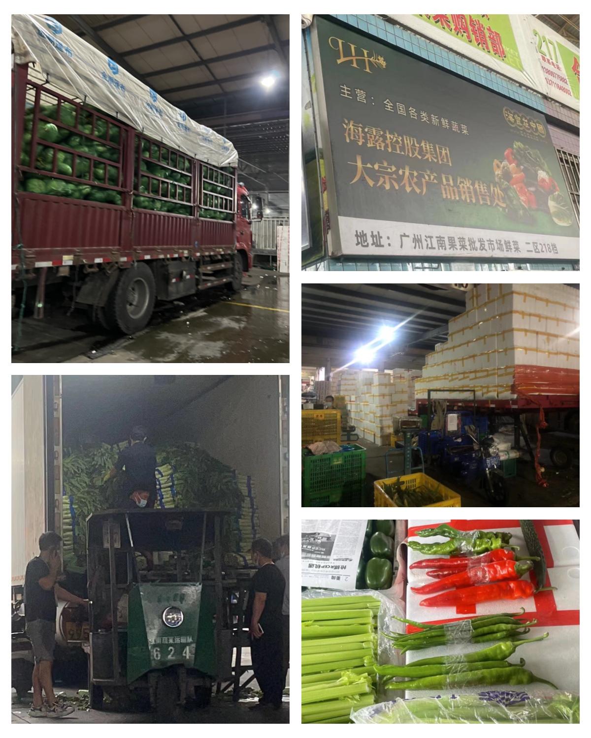 首页| PA视讯集团中国官方网站