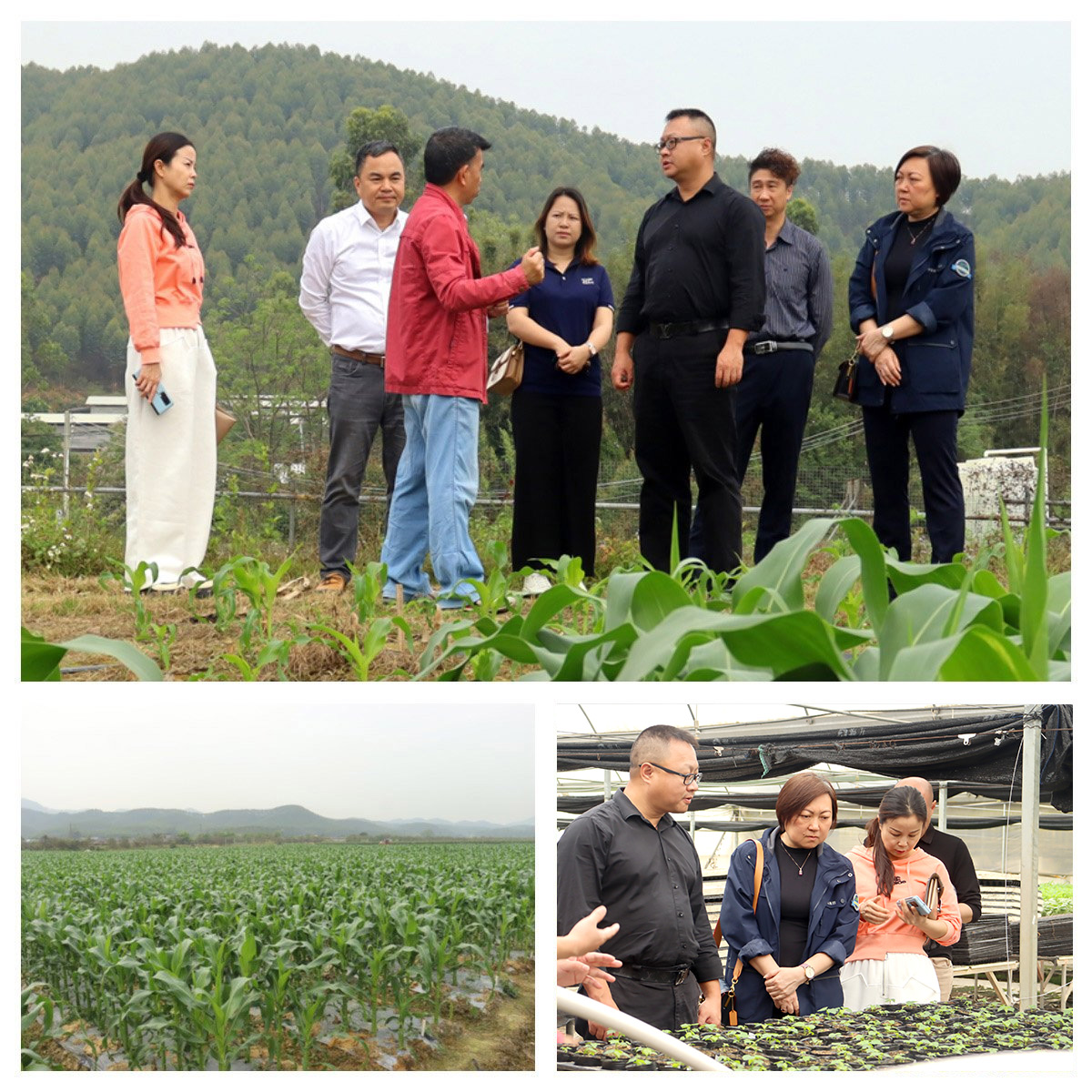 首页| PA视讯集团中国官方网站