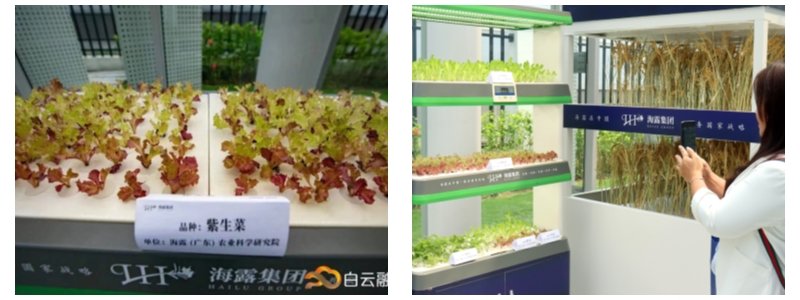 首页| PA视讯集团中国官方网站