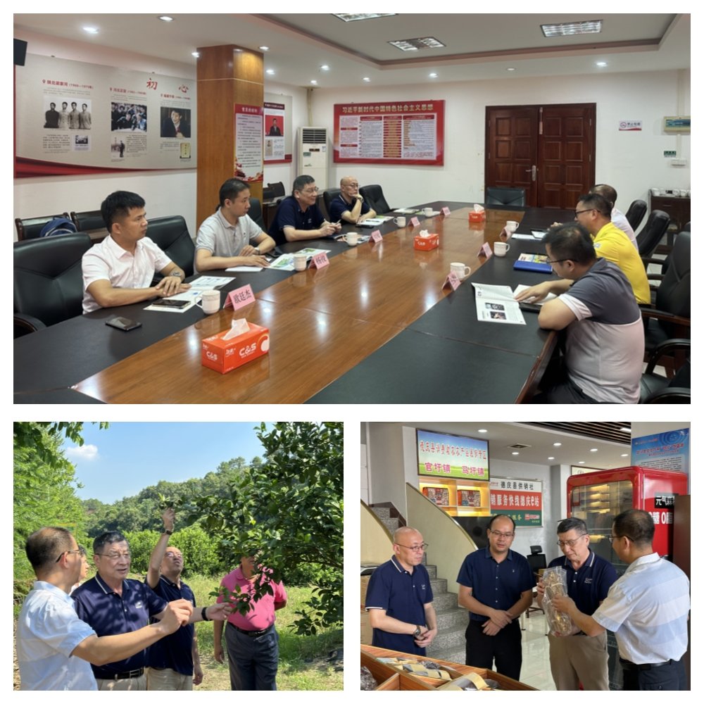 首页| PA视讯集团中国官方网站