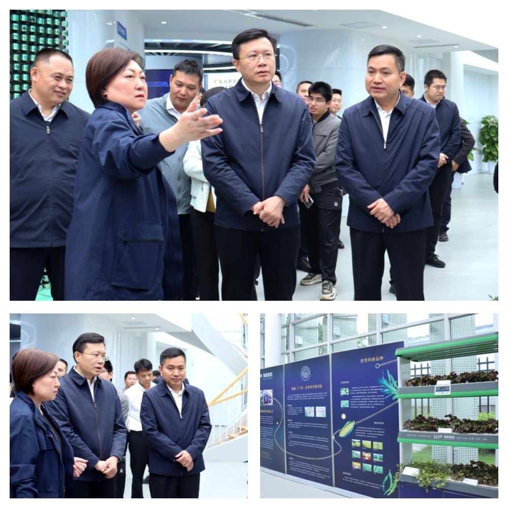 首页| PA视讯集团中国官方网站