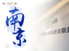 南京-高水平推进区域总部建设