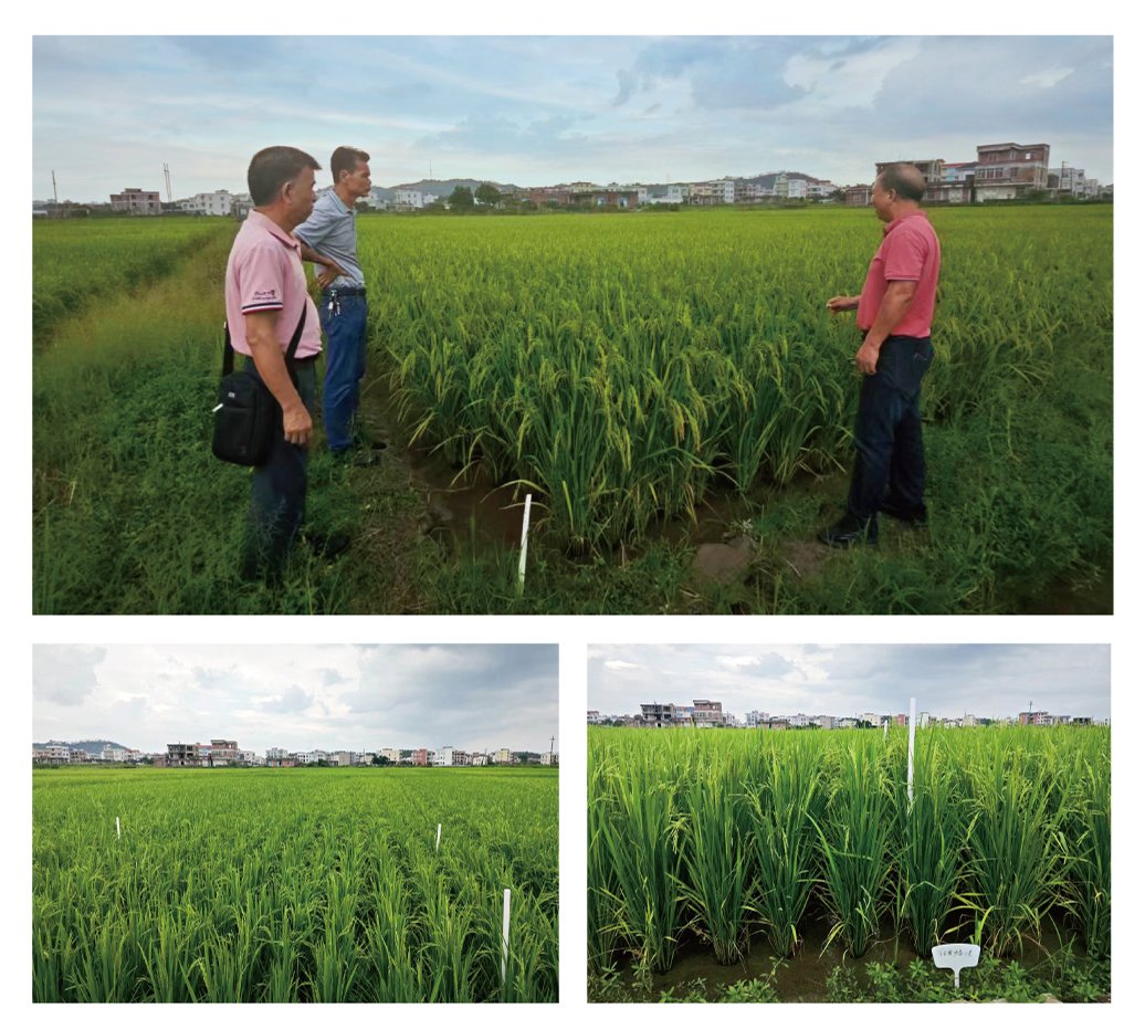 首页| PA视讯集团中国官方网站