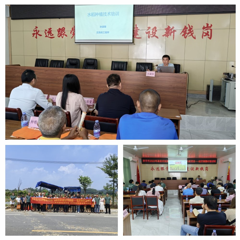 首页| PA视讯集团中国官方网站