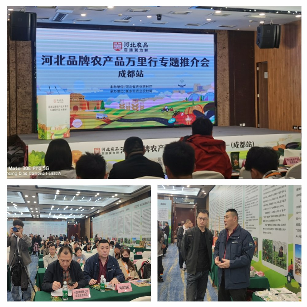 首页| PA视讯集团中国官方网站