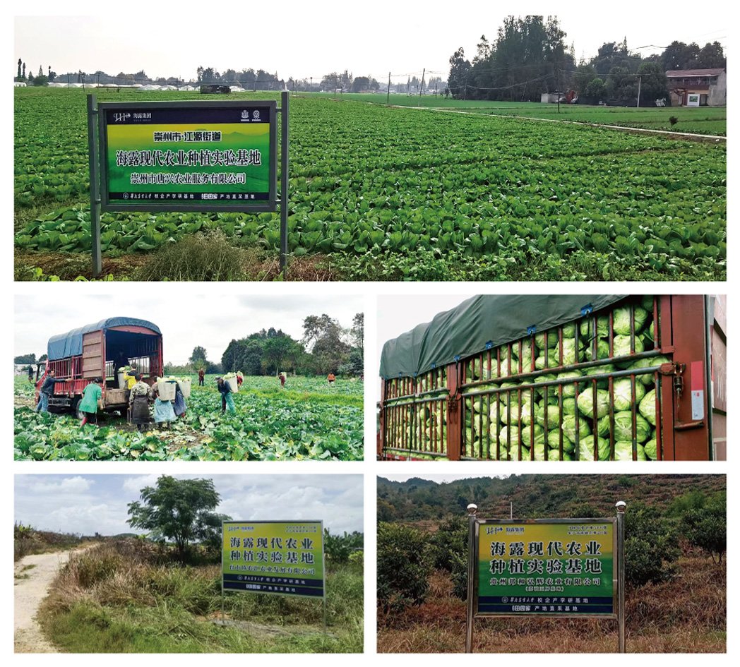 首页| PA视讯集团中国官方网站