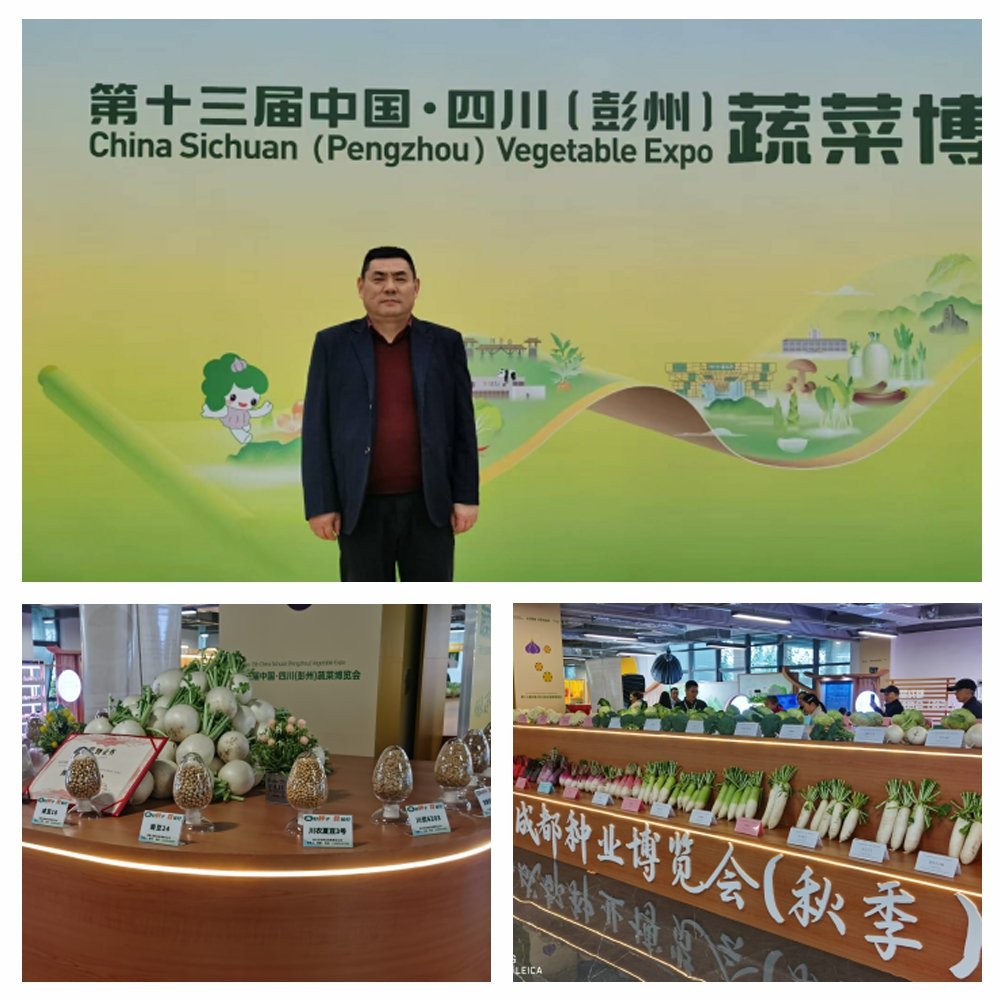 首页| PA视讯集团中国官方网站