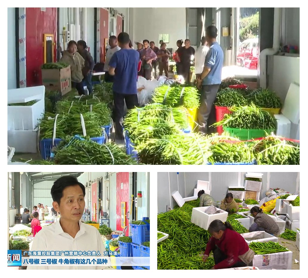 首页| PA视讯集团中国官方网站