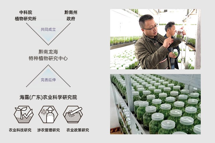 首页| PA视讯集团中国官方网站