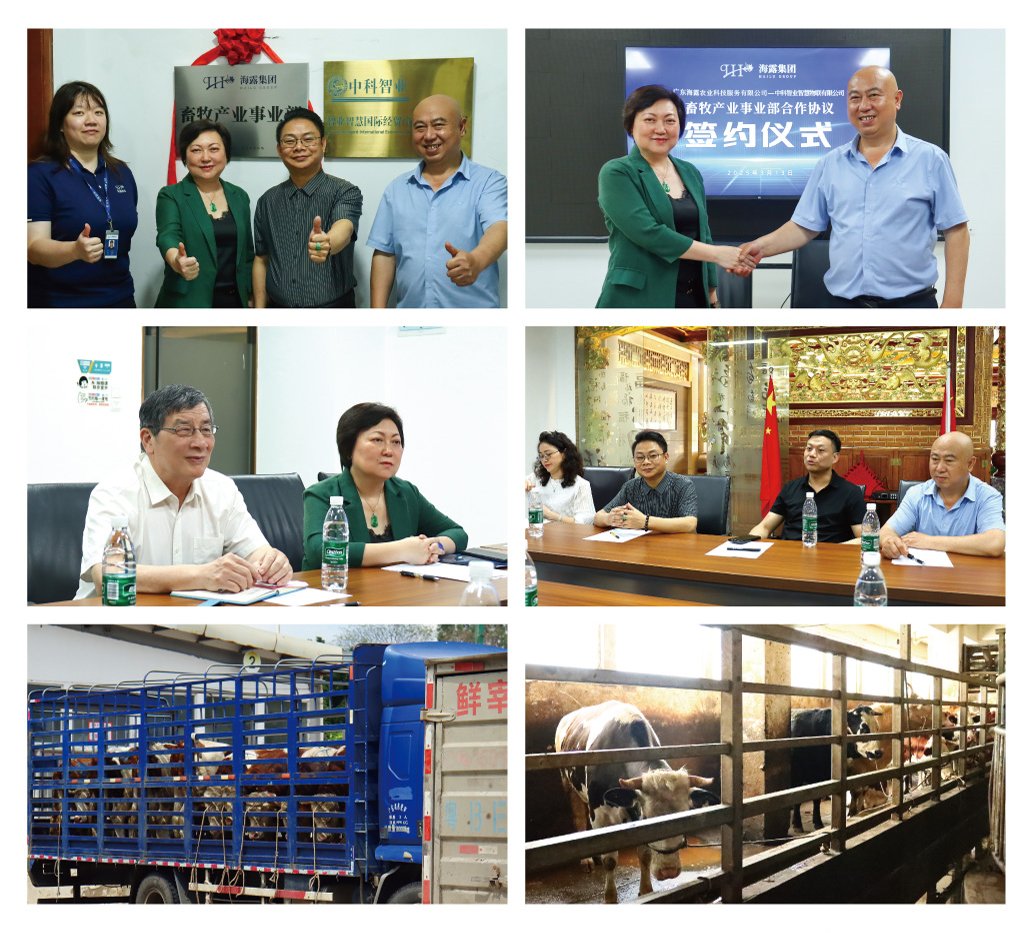 首页| PA视讯集团中国官方网站