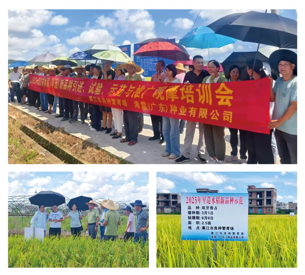 首页| PA视讯集团中国官方网站