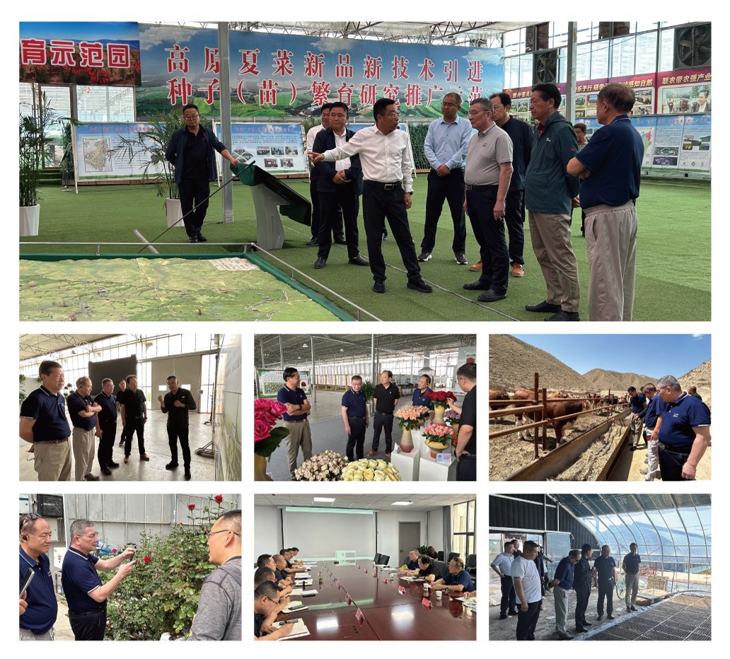 首页| PA视讯集团中国官方网站