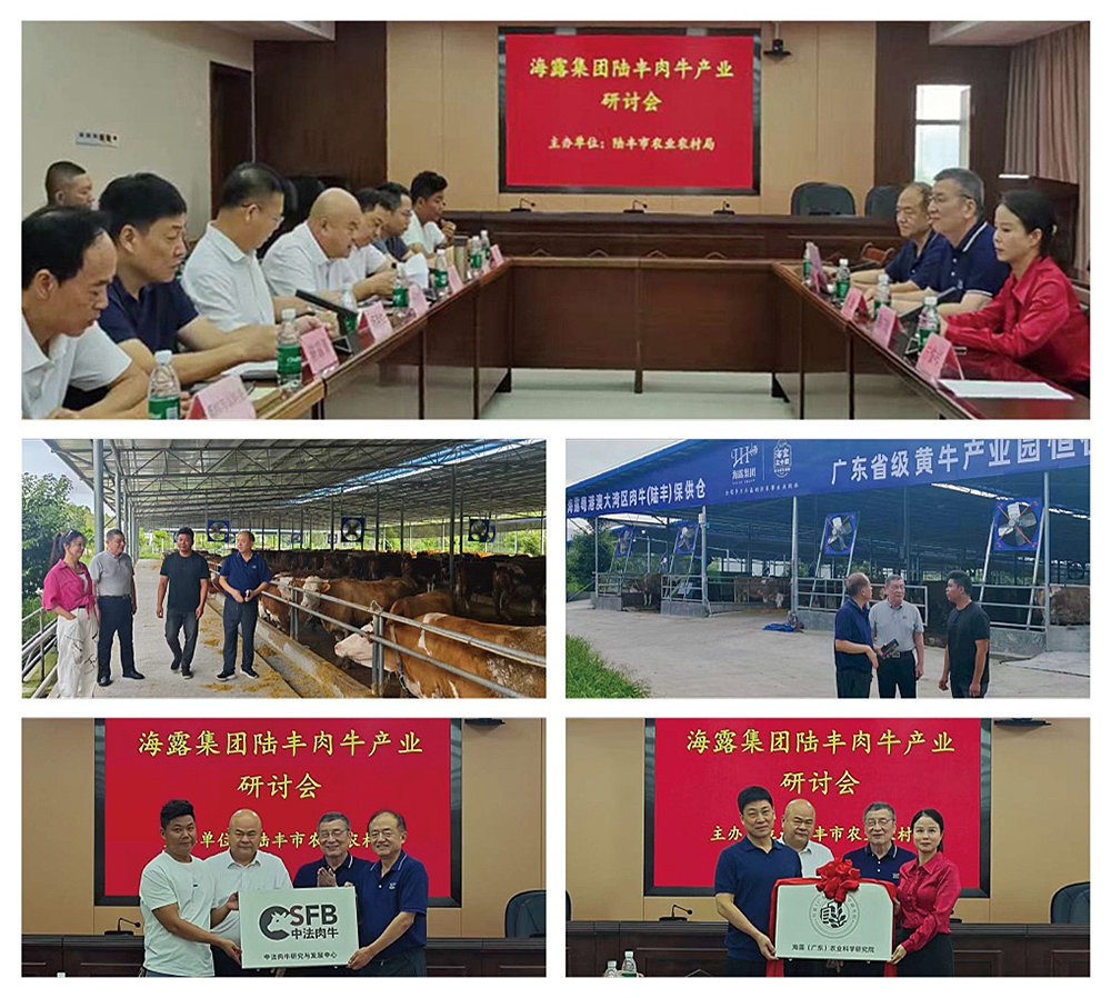 首页| PA视讯集团中国官方网站