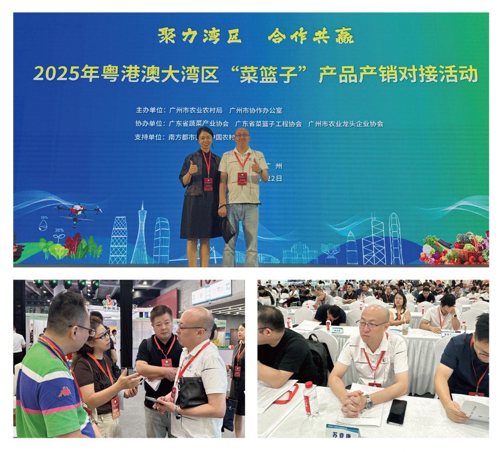 首页| PA视讯集团中国官方网站