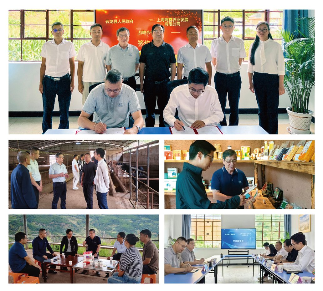 首页| PA视讯集团中国官方网站