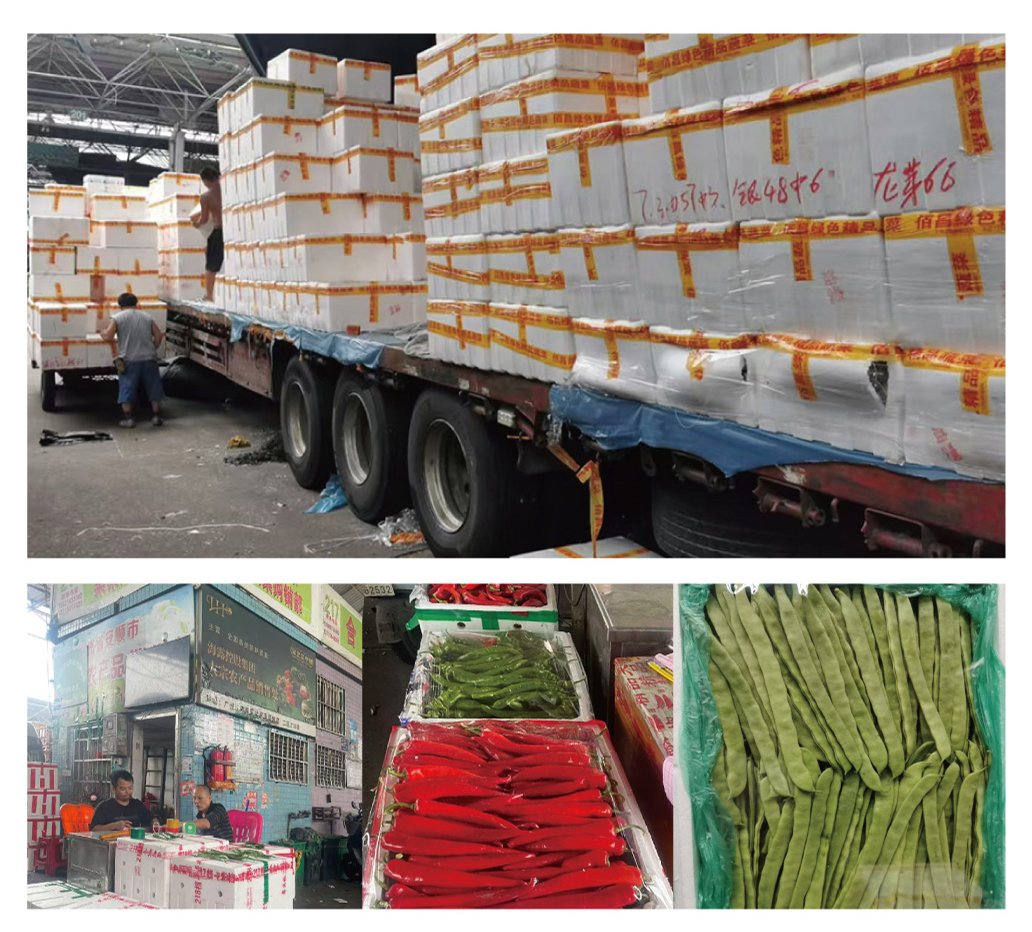 首页| PA视讯集团中国官方网站