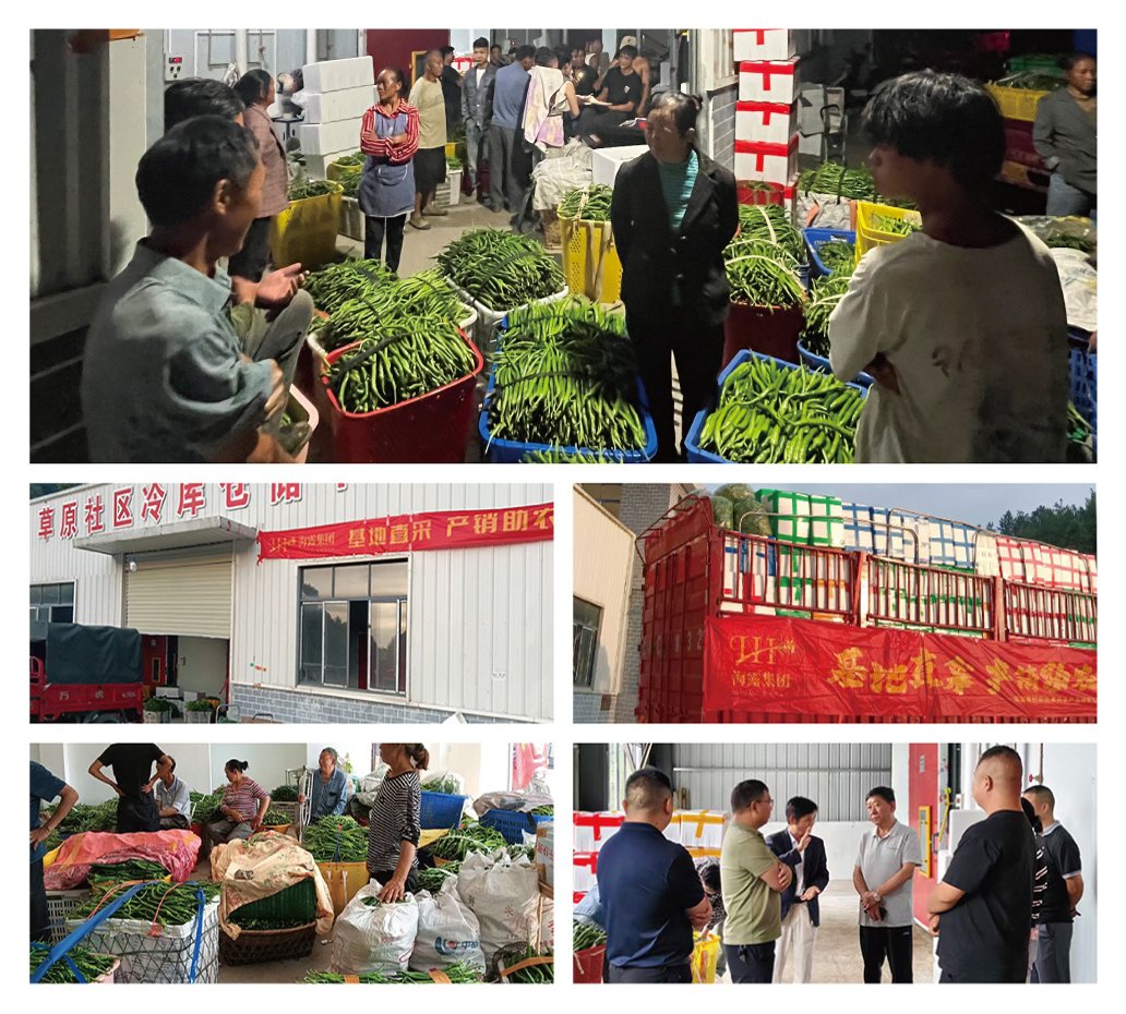 首页| PA视讯集团中国官方网站