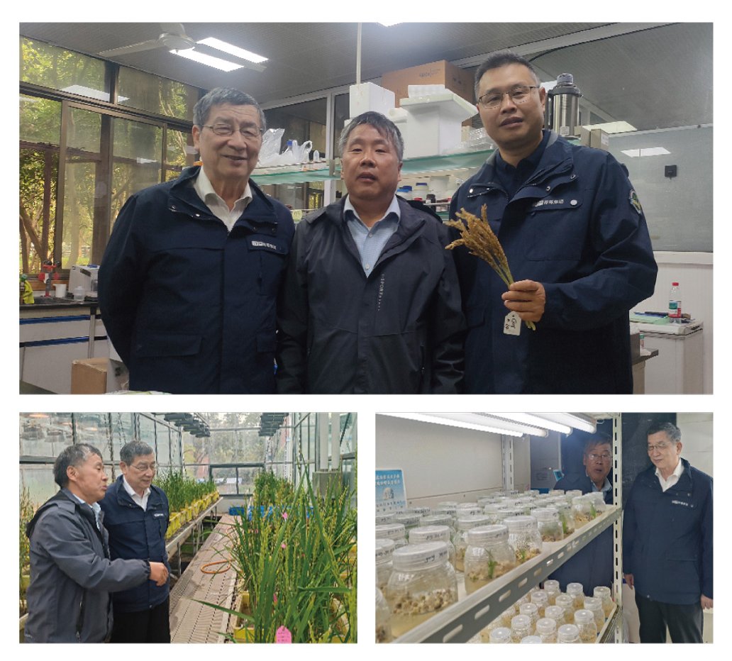 首页| PA视讯集团中国官方网站