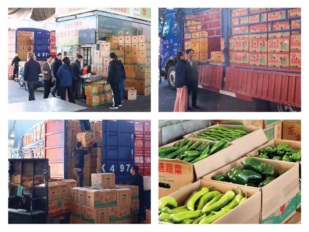 首页| PA视讯集团中国官方网站